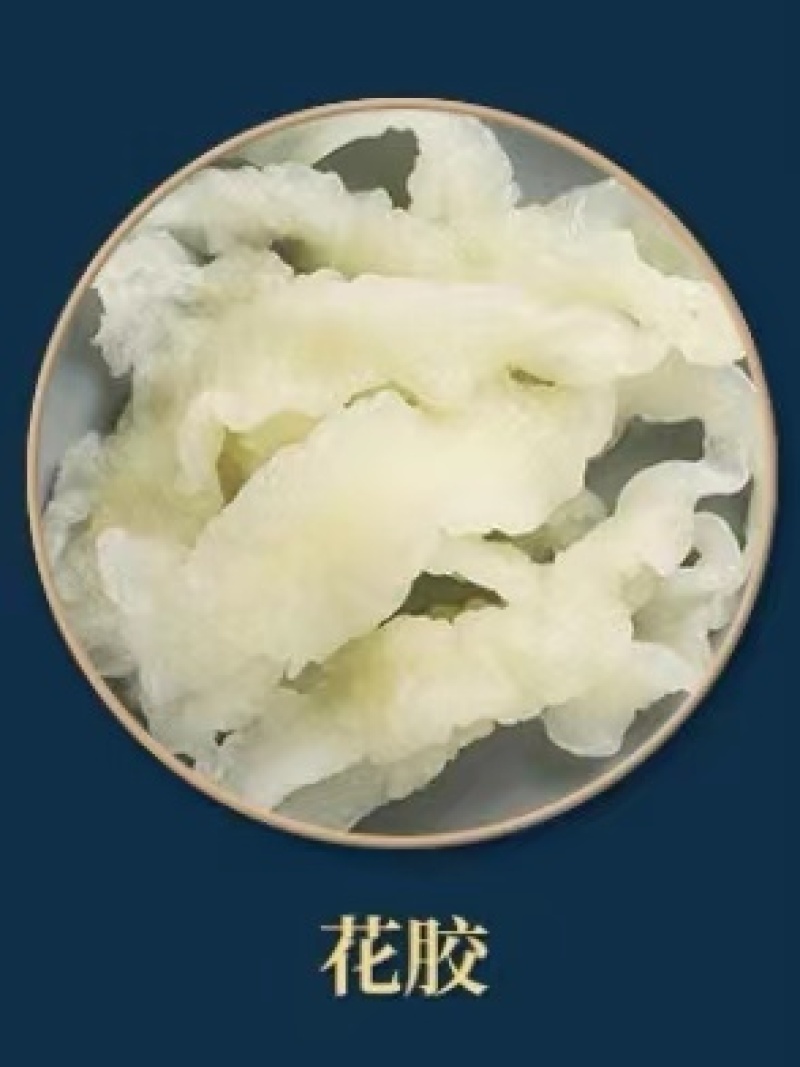 花胶鱼胶小龙胶佛跳墙常用食材，火锅涮鱼肚，焖炖巴沙鱼肚