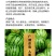 艾绿士乙基多杀菌素杀蓟马线虫斑潜