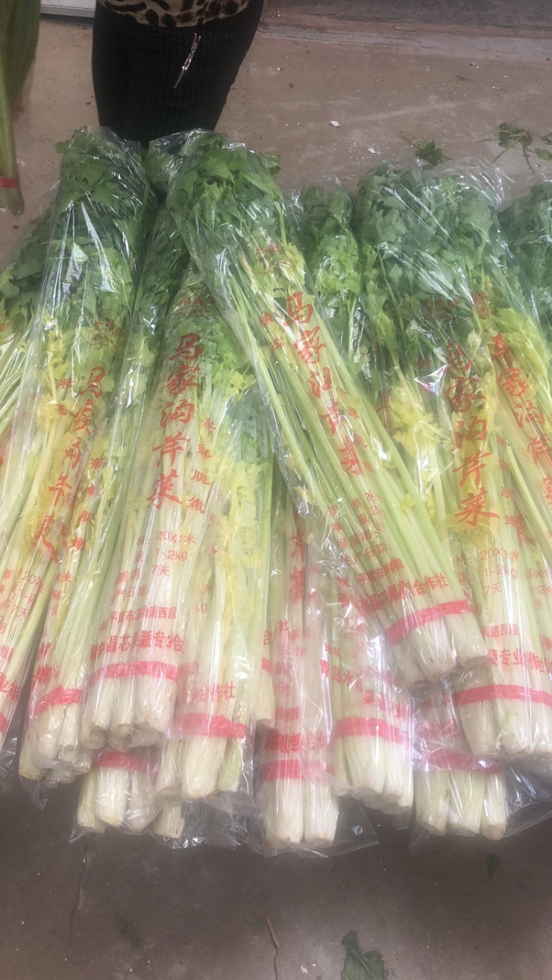 平度马家沟芹菜大量有货