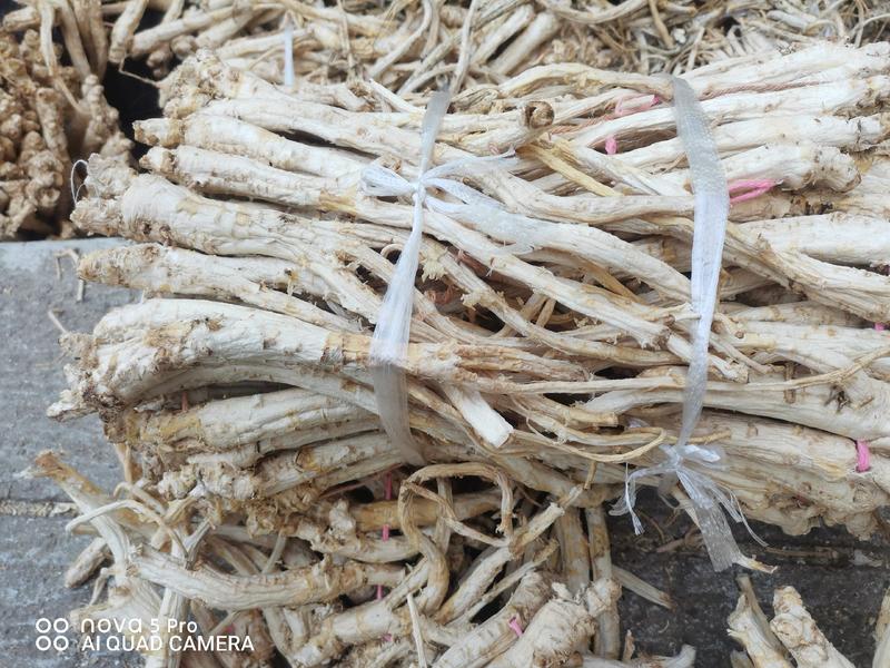 陕西商洛地产高含量去皮选条桔梗，2022年冬季新产，