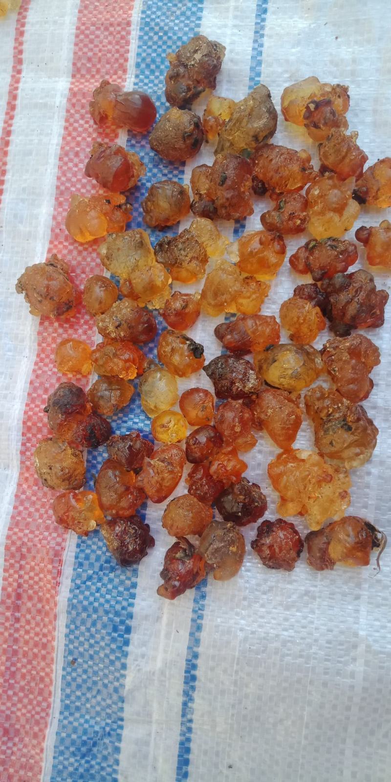 10年老树桃胶35包邮