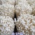 金针菇400g，营养美味，新鲜送达