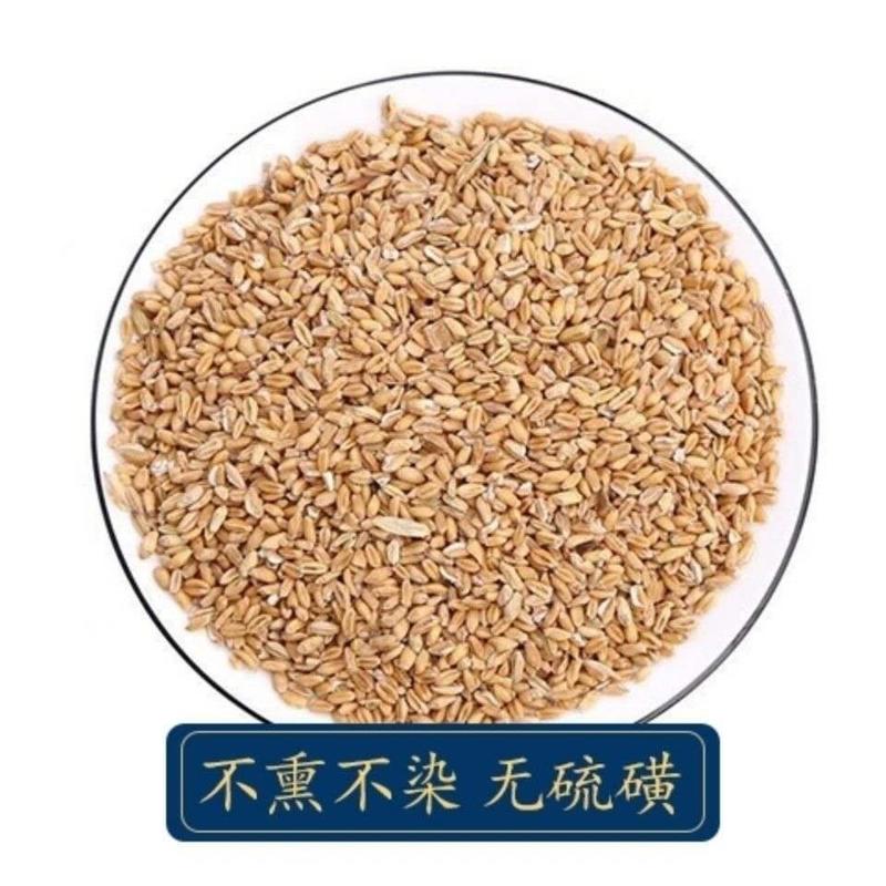 浮小麦中药材止汗500g浮小麦另售甘草淮浮小麦