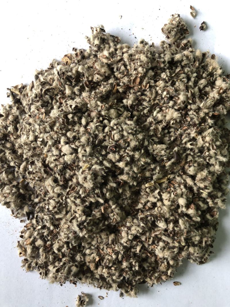 【优质好货】棉籽壳，货源充足，厂家直销，品质优渥！
