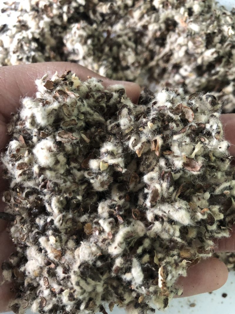 【优质好货】棉籽壳，货源充足，厂家直销，品质优渥！