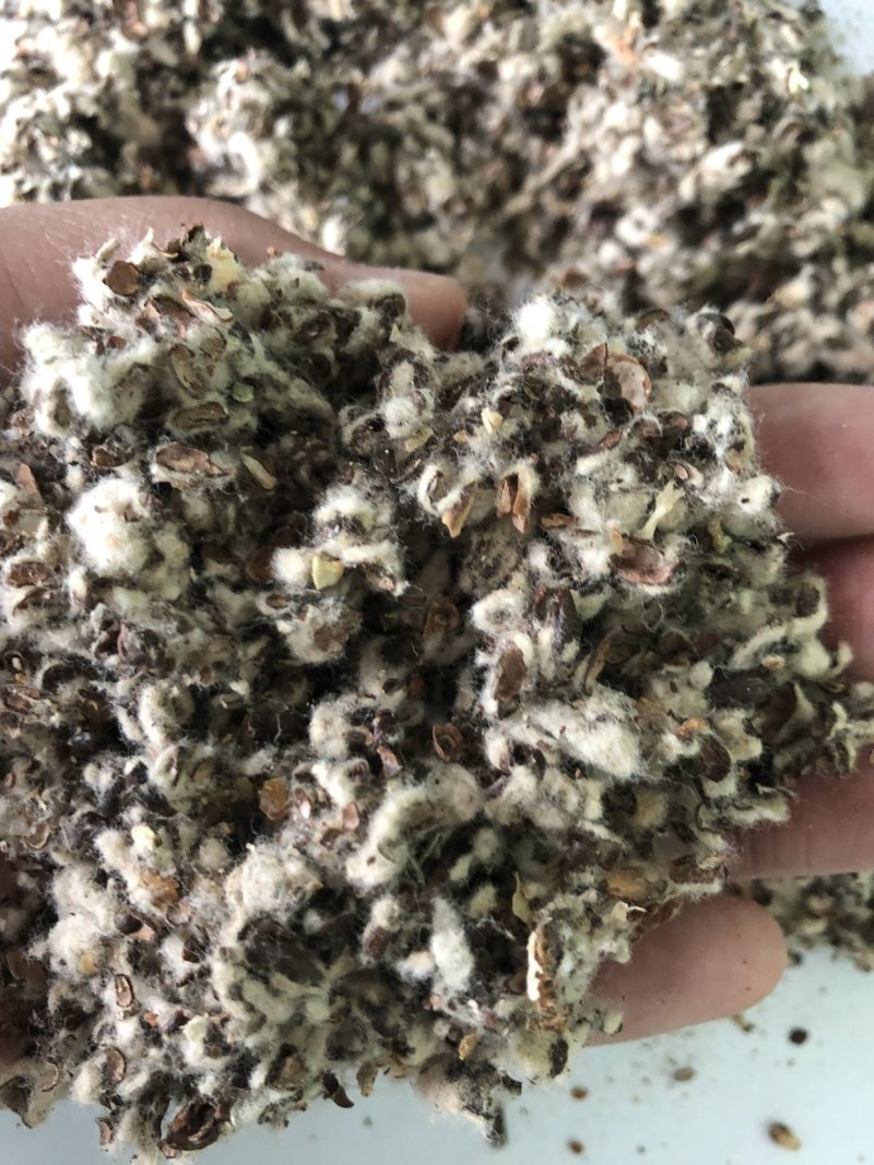 【优质好货】棉籽壳，货源充足，厂家直销，品质优渥！