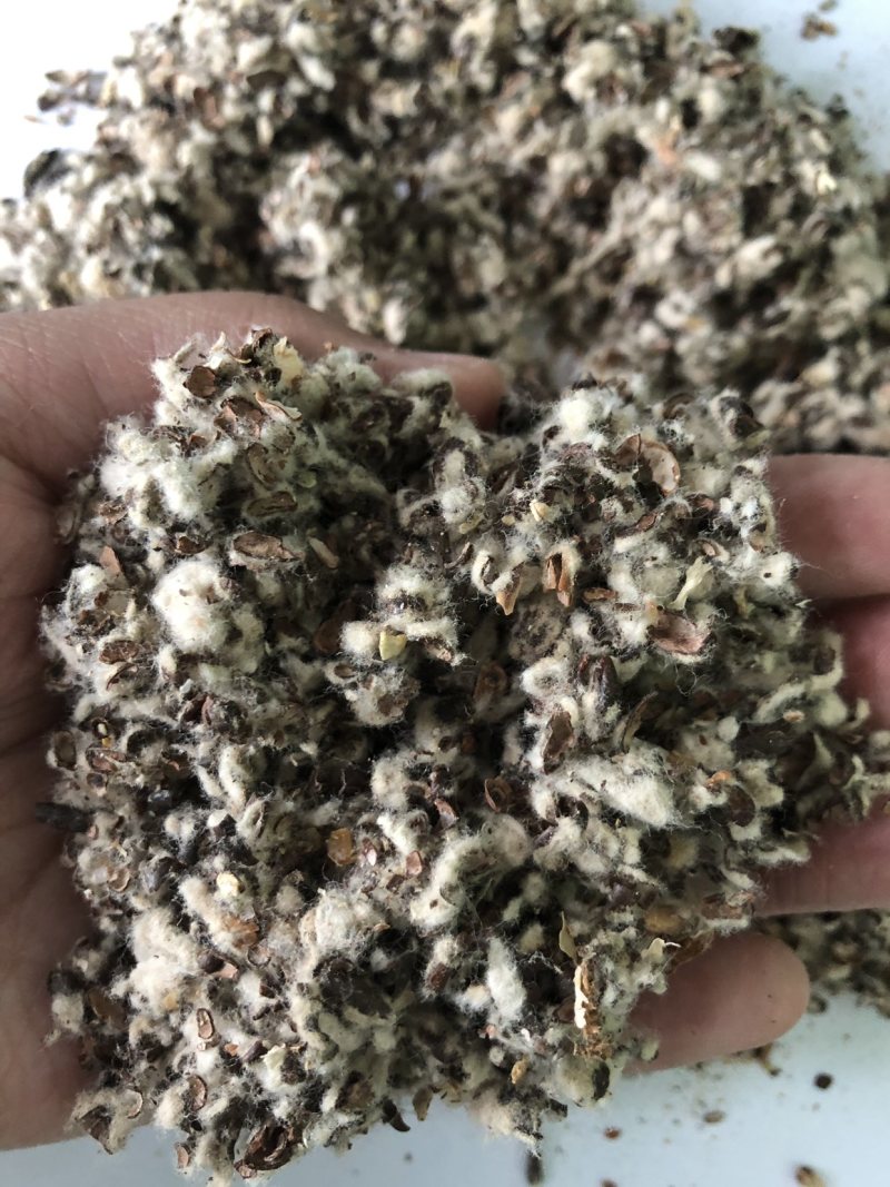 【优质好货】棉籽壳，货源充足，厂家直销，品质优渥！