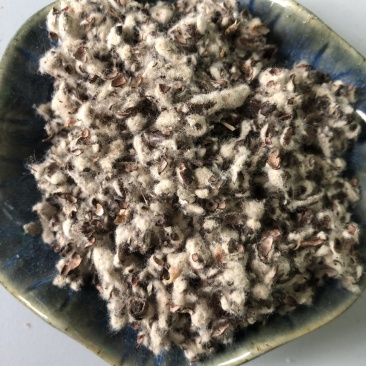 【优质好货】棉籽壳，货源充足，厂家直销，品质优渥！