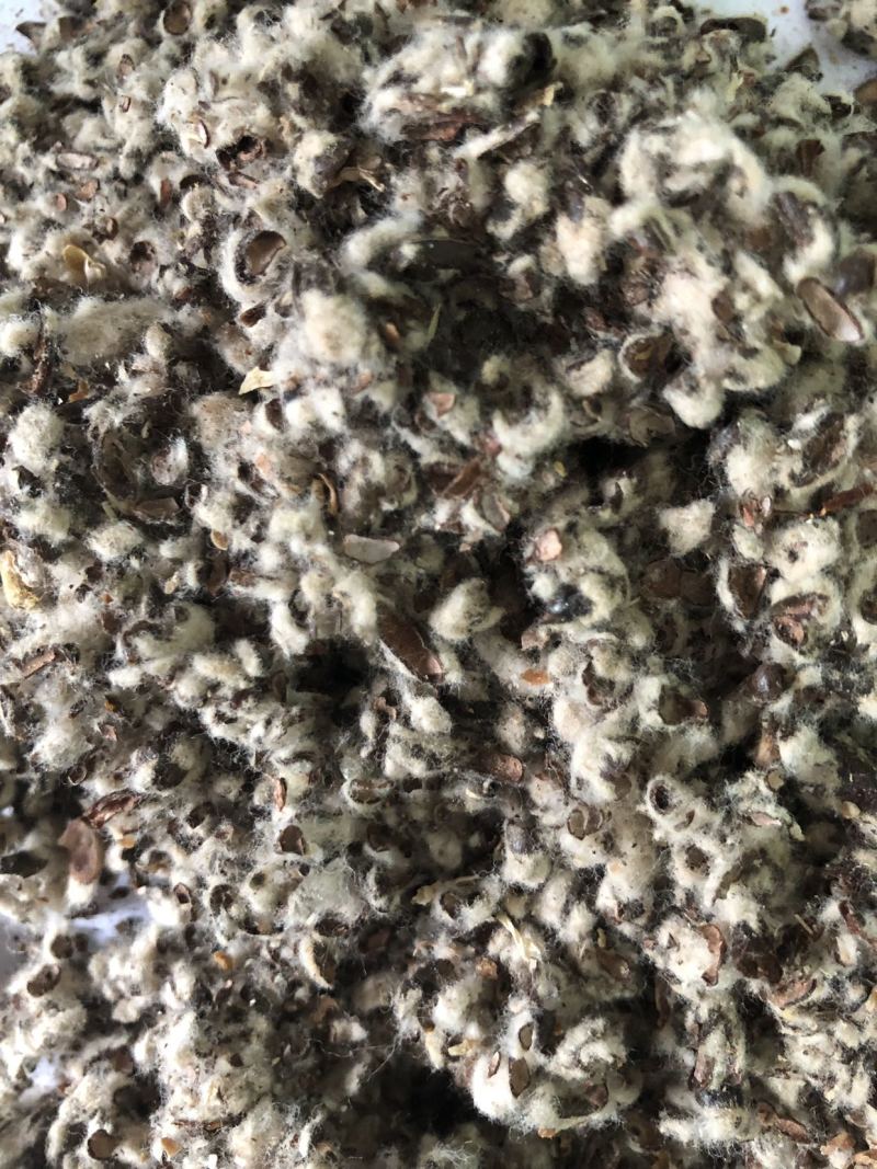 【优质好货】棉籽壳，货源充足，厂家直销，品质优渥！