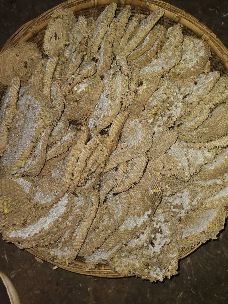 野生蜂蛹，云南楚雄本地野生蜂，大山精品，营养价值高