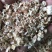 【厂家直销】玉米芯颗粒，保质保量，量大从优！