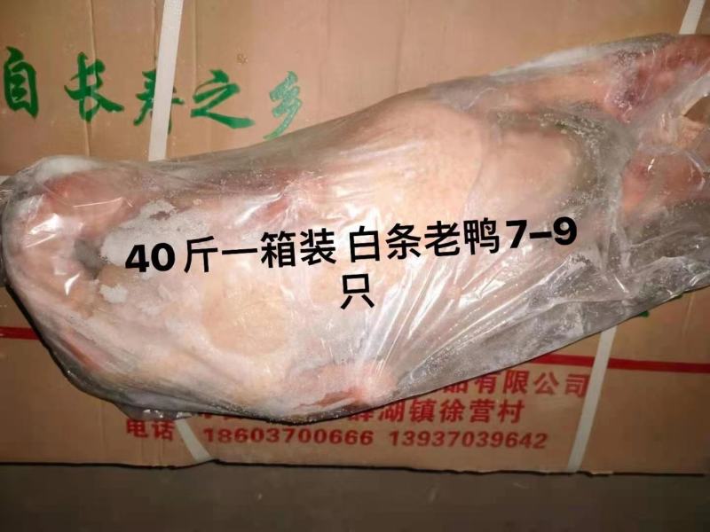 老母鸡，白条鸭，开背鸭。