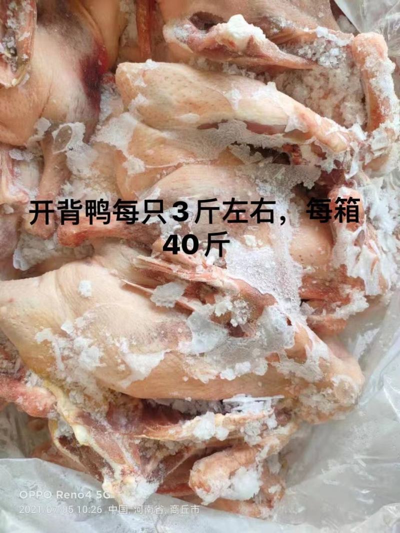 老母鸡，白条鸭，开背鸭。