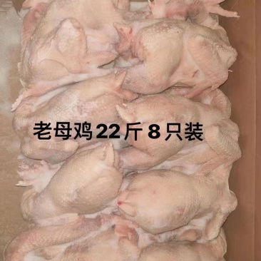 老母鸡，白条鸭，开背鸭。