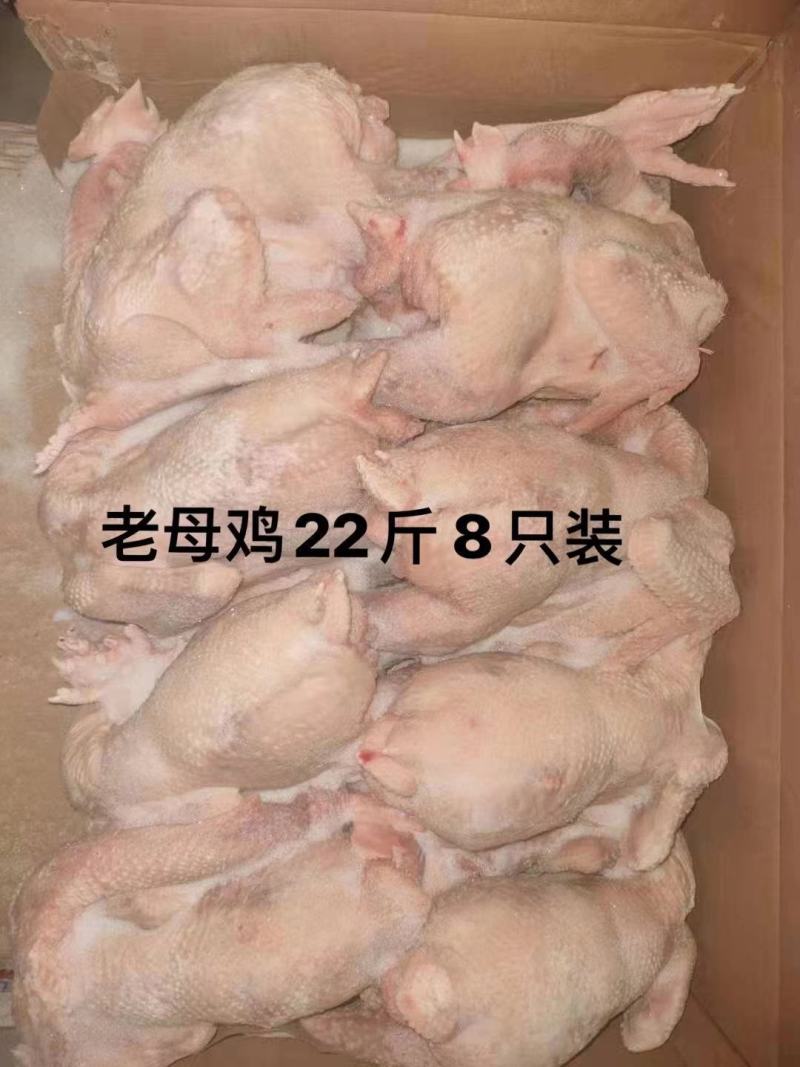 老母鸡，白条鸭，开背鸭。