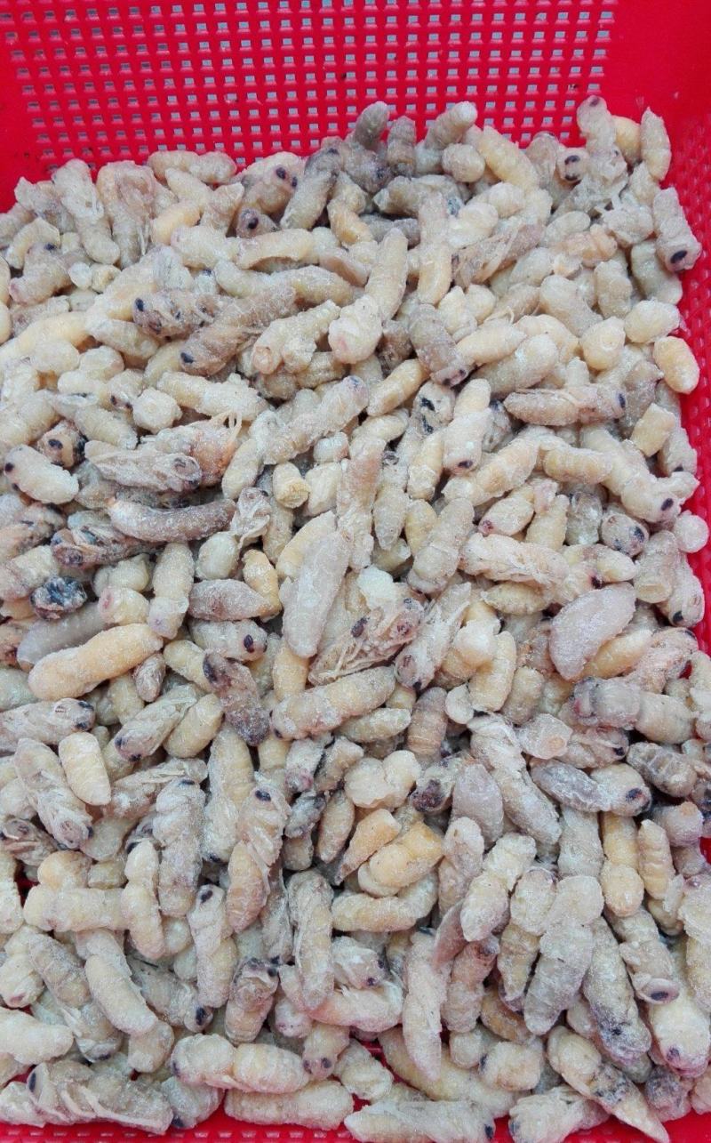 野生蜂蛹，云南楚雄本地野生蜂，大山精品，营养价值高