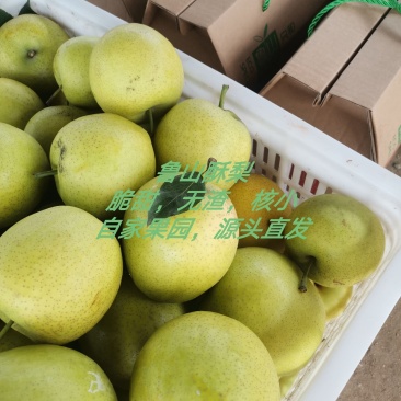 皇冠梨