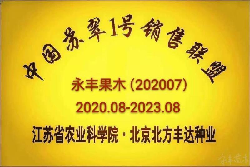 新品种“新玉梨”苏翠一号，沪晶18，超月，山农，新华接穗