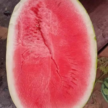 西瓜