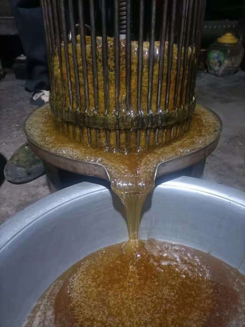 纯土蜂蜜