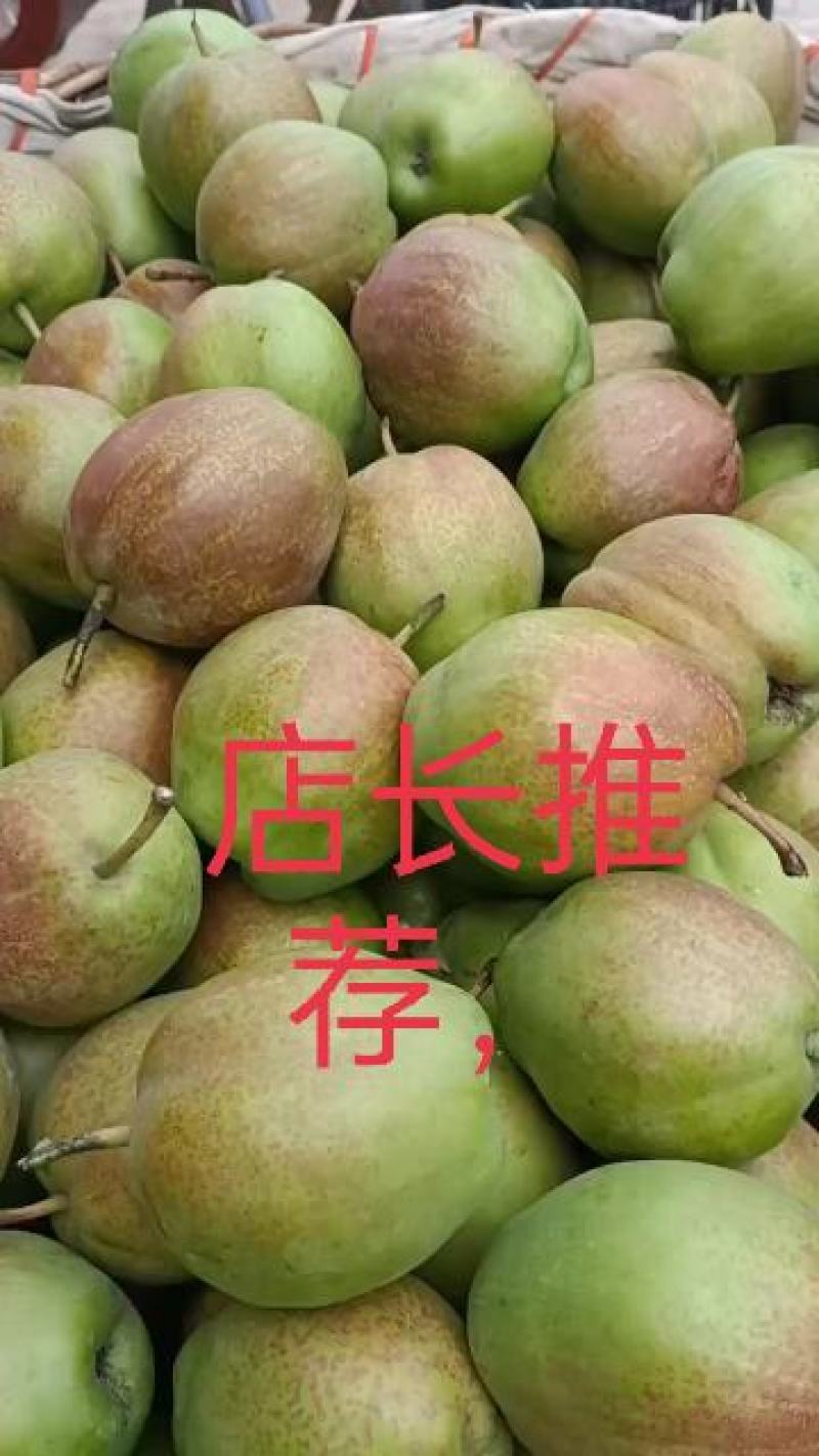 新梨七号，电商用，产地代言，口感清甜，皮薄多汁，大量有货
