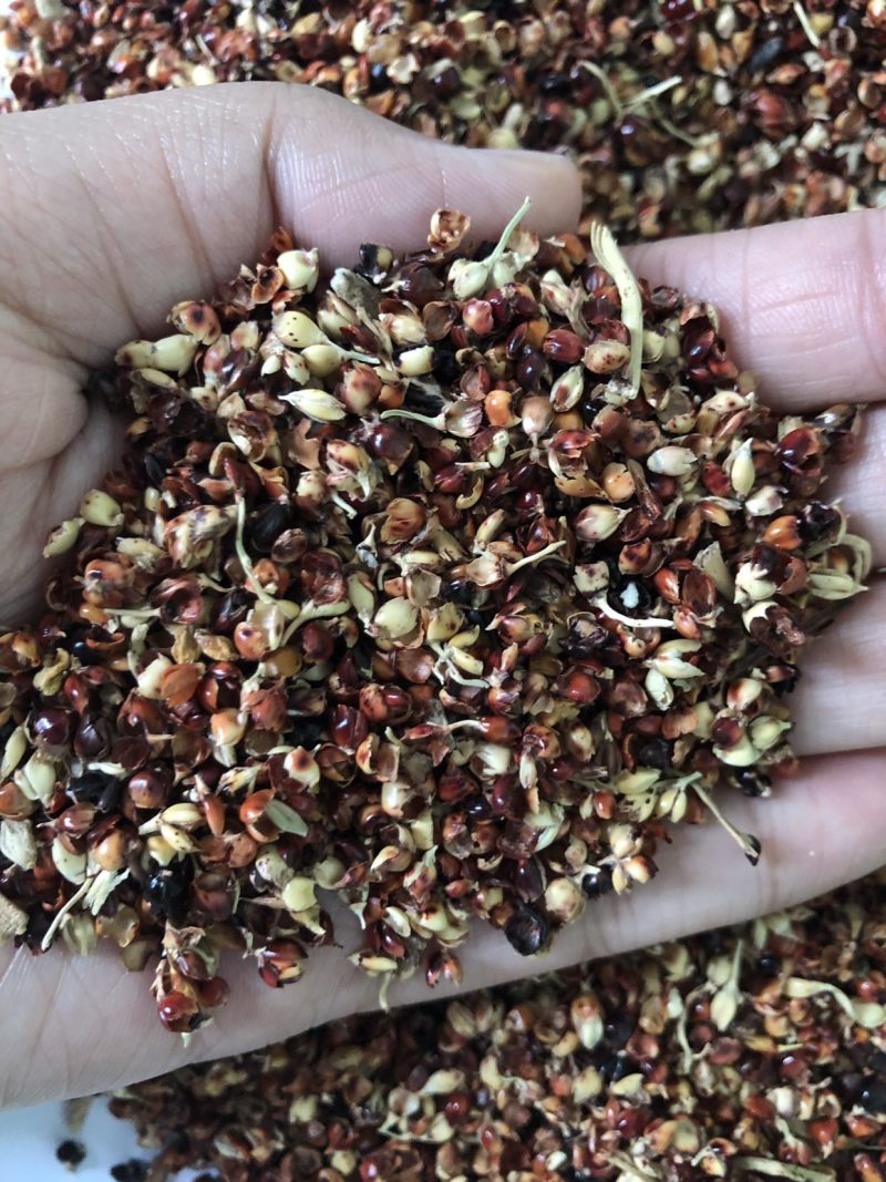 【优选好货】高粱壳，价格优惠质量保证！