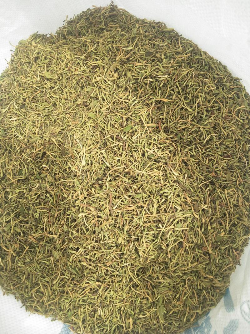 精品花蕾