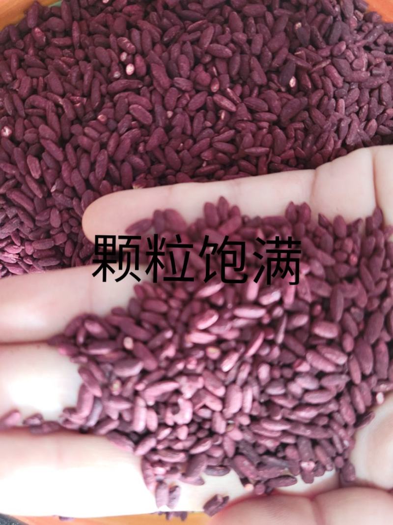 红曲（红曲米）优质红曲米，干净无杂质，国产无硫货