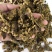 纯棉籽饼，保证质量，量大从优！