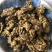 纯棉籽饼，保证质量，量大从优！