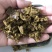 纯棉籽饼，保证质量，量大从优！