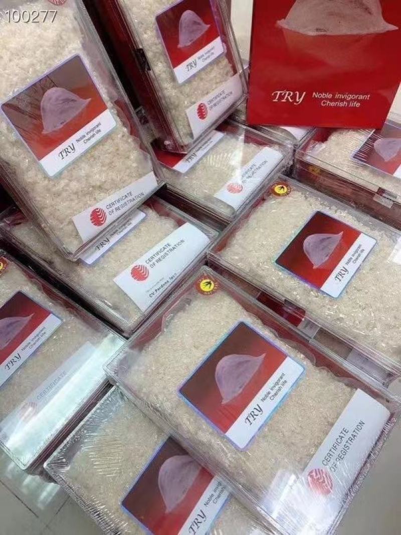 燕碎TBYTPYTRY燕窝金丝燕碎正品高干净度