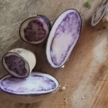 土豆中的贵族，不管是我烧烤煮炸闷，切片切丝不切，味道赌好