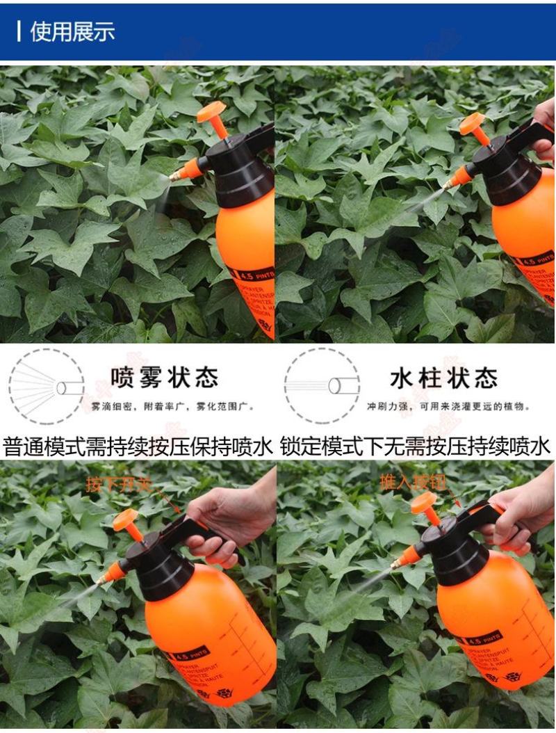 浇花喷壶消毒浇水壶园艺喷洒水壶塑料气压式喷雾器小型压力喷