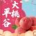 平谷大桃，黄桃，黄蟠桃，九宝十四号，九号，二十四号。