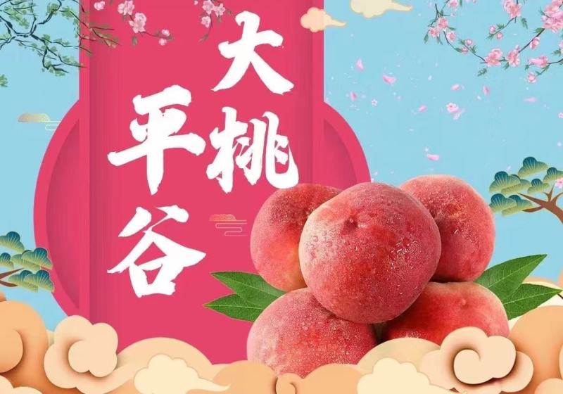 平谷大桃，黄桃，黄蟠桃，九宝十四号，九号，二十四号。