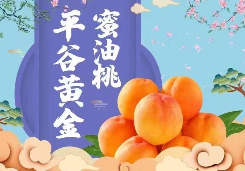 平谷大桃，黄桃，黄蟠桃，九宝十四号，九号，二十四号。