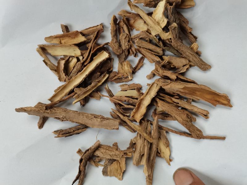 地骨皮身皮统货批发品种齐全量大从优品种齐全