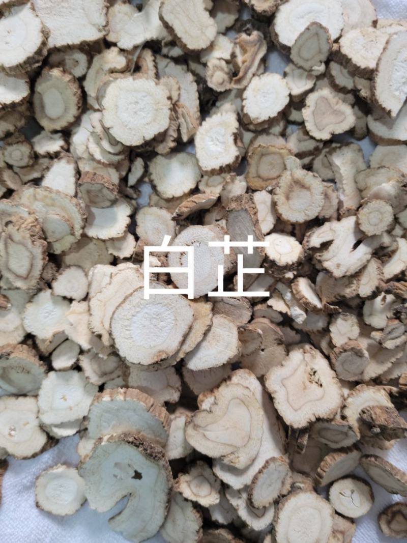 白芷（无硫白芷）无硫白芷，新货洗净烘干切片，货干无杂