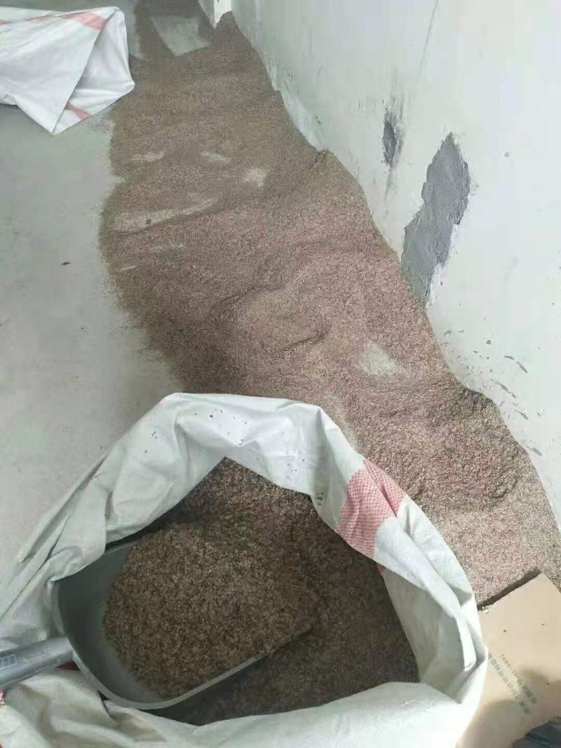 江南桤木/绿化苗木/乔灌木/江南桤木林木/植树造林