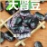 黑芸豆农家黑芸豆熬粥炖肉黑芸豆颗粒饱满五谷杂粮包邮