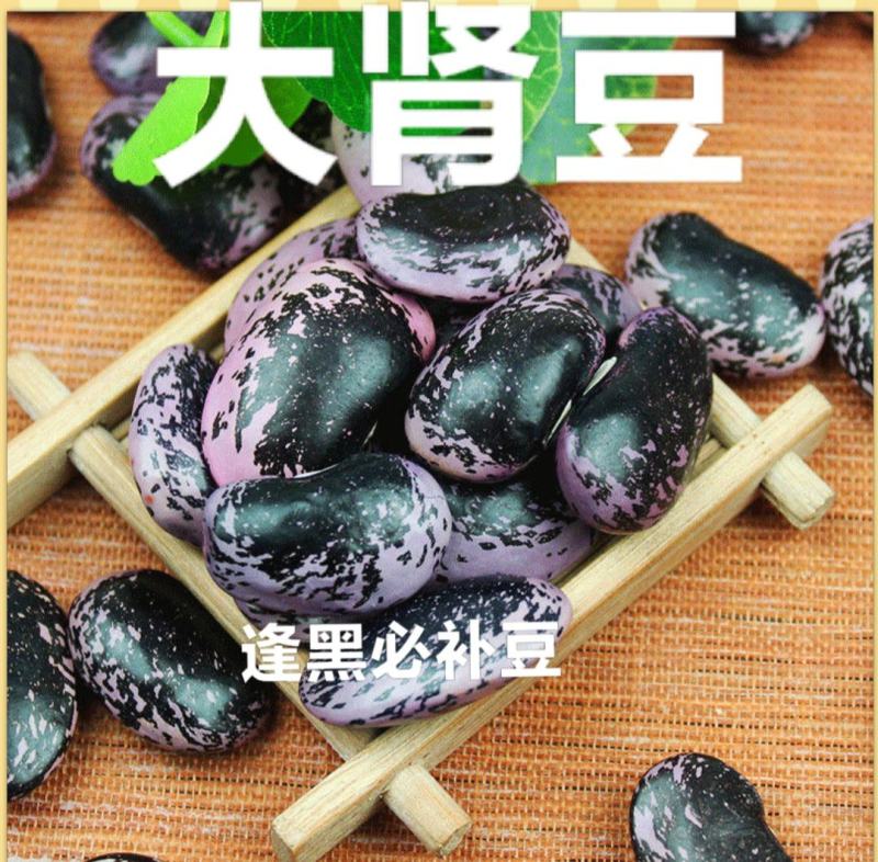 黑芸豆农家黑芸豆熬粥炖肉黑芸豆颗粒饱满五谷杂粮包邮