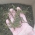 螃蟹脚小寄生干货一手货