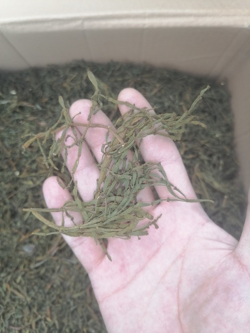 螃蟹脚小寄生干货一手货