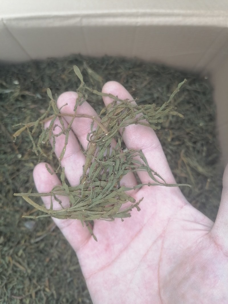 螃蟹脚小寄生干货一手货