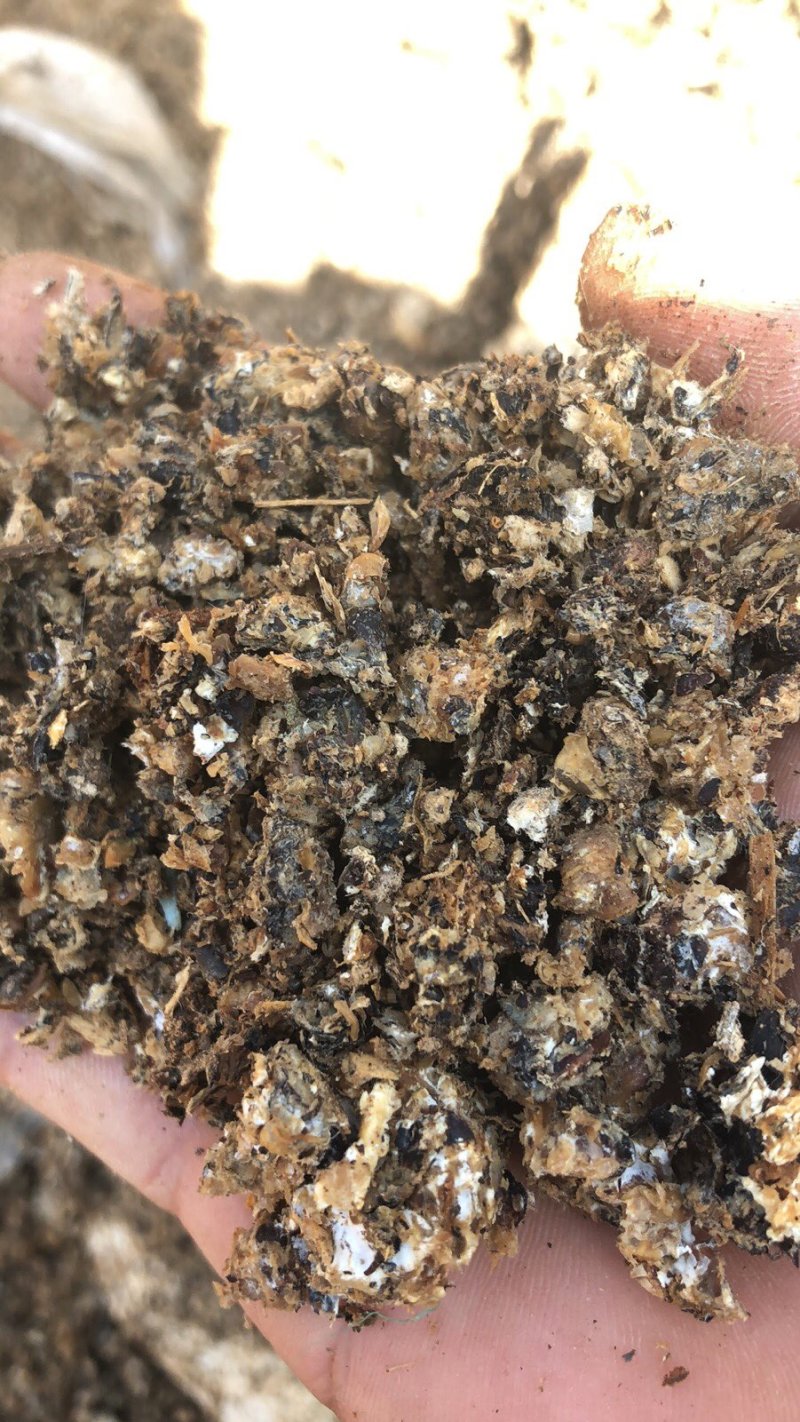 平菇菌渣/食用菌下脚料/内含棉壳有机质含量丰富。