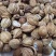 香砂，正品干货，干净无杂质香料调味料品质保障