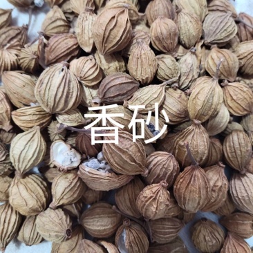 香砂，正品干货，干净无杂质香料调味料品质保障