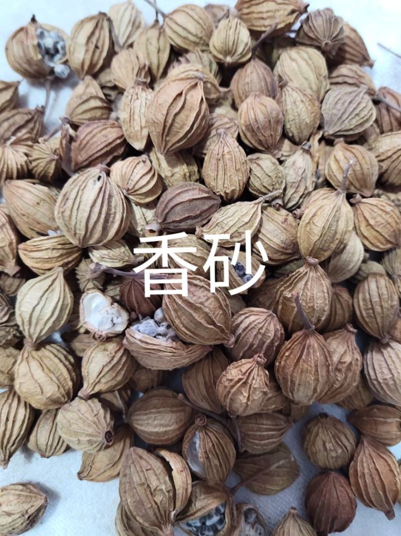 香砂，正品干货，干净无杂质香料调味料品质保障