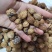 香砂，正品干货，干净无杂质香料调味料品质保障